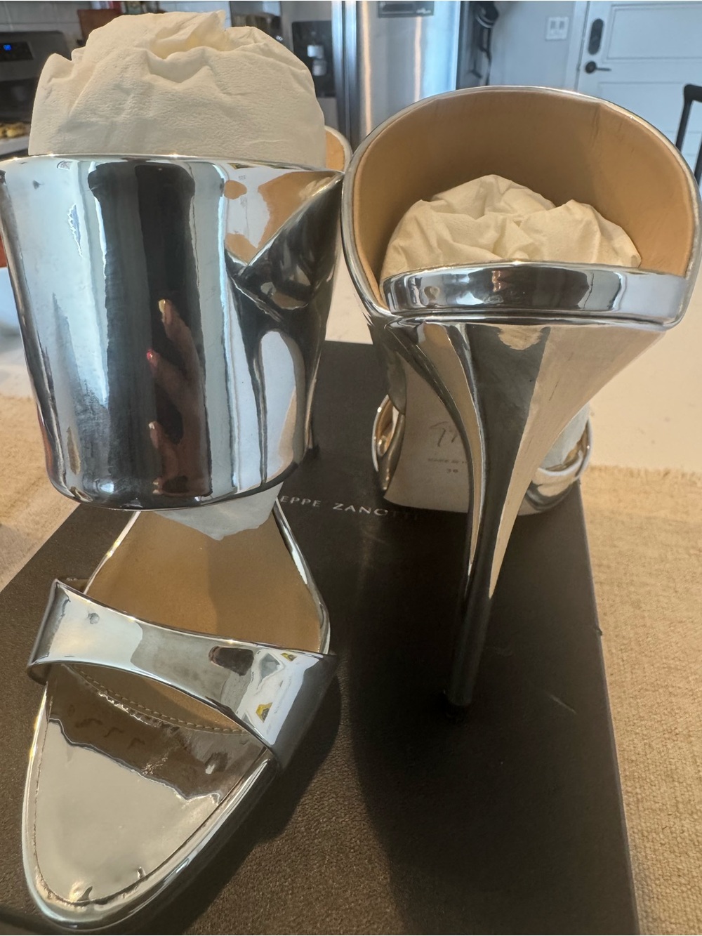 Giuseppe Zanotti Mirror Silver Stiletto Sandals